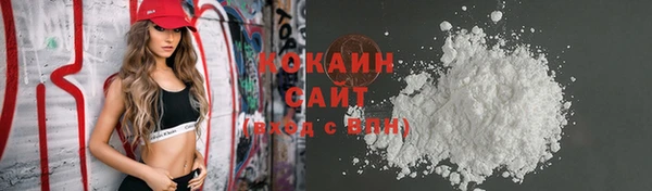 крисы Армянск