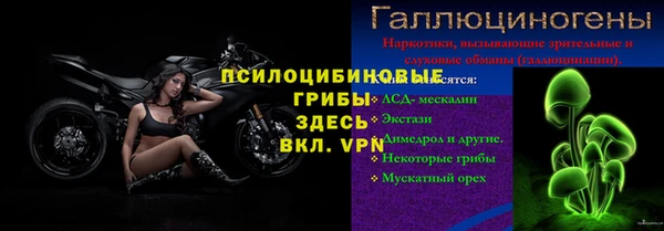 apvp Аркадак