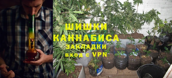 ГАЛЛЮЦИНОГЕННЫЕ ГРИБЫ Алексин