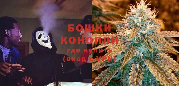 крисы Армянск