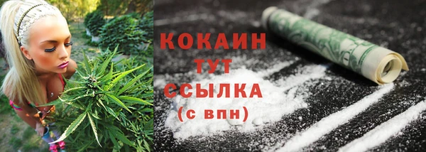 apvp Аркадак