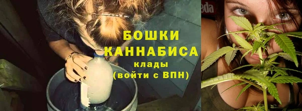 apvp Аркадак