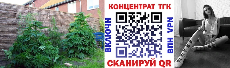 ТГК THC oil  Соликамск 
