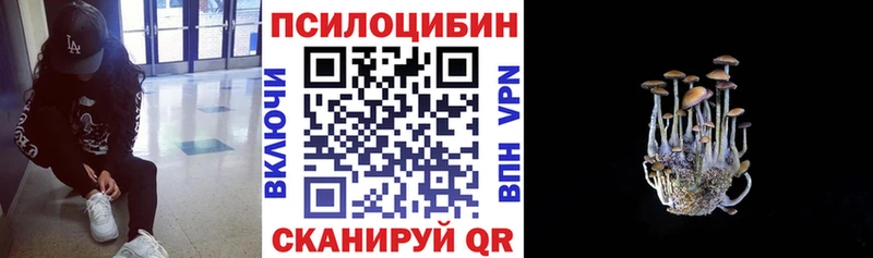 магазин    Соликамск  Галлюциногенные грибы Psilocybe 